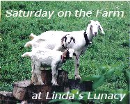 Saturday on the Farm at Linda's Lunacy